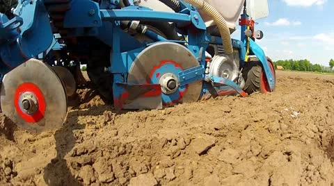 Closeup during the planting of maize Stock Footage 20522832