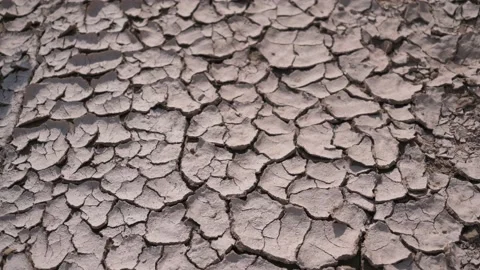 Closeup of dynamic shot of cracked clay. Stock Footage 195660178