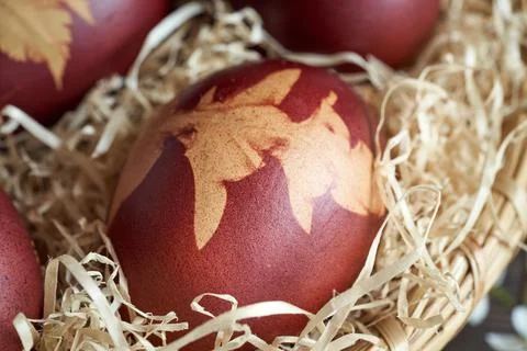 Closeup of an Easter egg dyed with onion peels, with a pattern of a dandelion Stock Photos