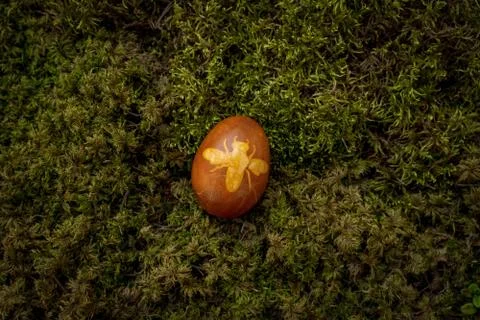 Closeup of an easter egg on the grass with a bee shape sticker on it Stock Photos