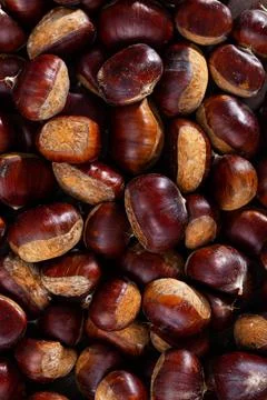 Closeup of edible chestnuts in large quantities as natural background Stock Photos