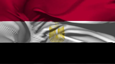 Closeup Egypt Flag Wave Loop waving in wind Realistic Egypt Flag background Stock Footage 320453326