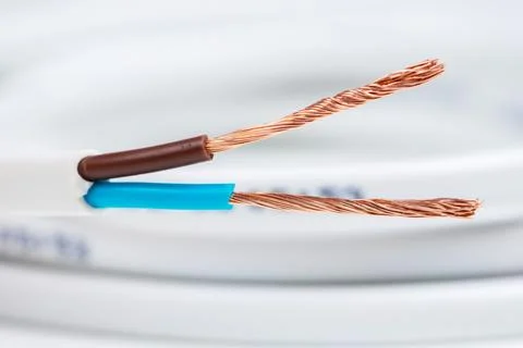 Closeup of a electric cable on a white background Stock Photos