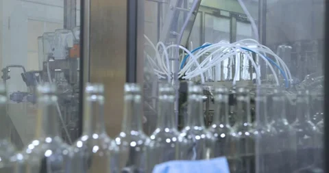 Closeup of Empty Wine Bottles Stock Footage 205483410