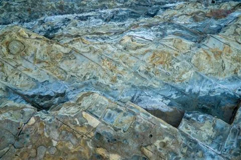 Closeup of eroded stone texture on the beach. Stock Photos