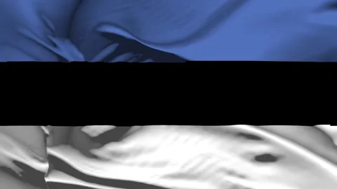 Closeup Estonia Flag Wave Loop waving in wind Realistic Estonia Flag backgro Stock Footage 320599027