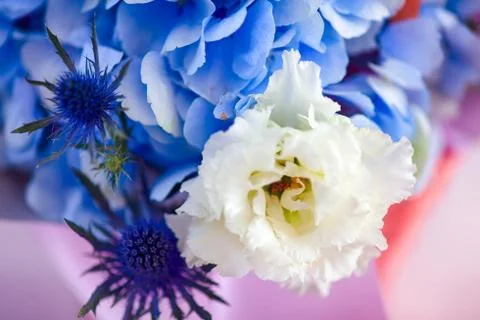 Closeup of eustoma in beautiful floral composition. Stock Photos
