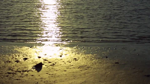 Closeup of extremely bright and sunny shoreline 스톡 동영상 34393737