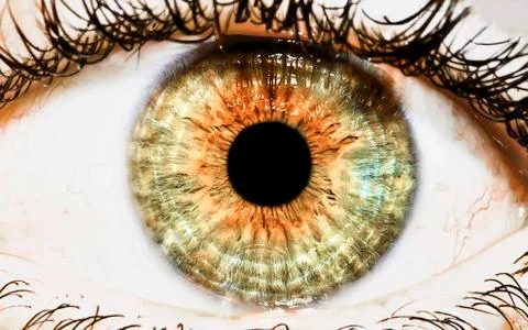 Closeup of an eye Foto stock