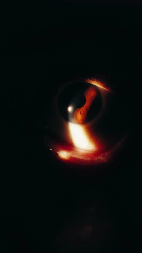 Closeup, eye scan and examination in optometry, consultation and assessment for Stock Footage 318803464