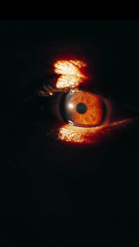 Closeup, eye scan and test in opticians consultation and examination for vision Stock Footage 318789440