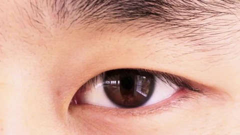 Closeup, face and eye with optometry, optical examination or glaucoma test in Video stock 334760424