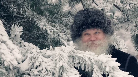 Closeup face portrait of elderly man at winter forest playing at hide-and-seek. Vídeo Stock 123343214