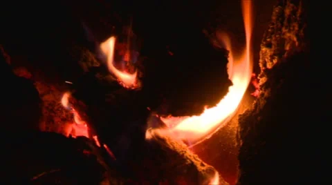 Closeup Of Fading Campfire In The Night Stock Footage 55490393