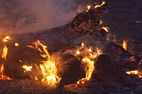 Closeup of a fallen tree burning in a forest fire, Flagstaff, Arizona. Stock Photos