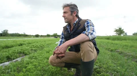 Closeup of farmer checking radish harvest Stock Footage 63330095