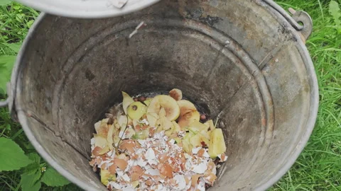 Closeup of a farmer throwing crushed eggshells into a rustic metal bucket 스톡 동영상 343119689