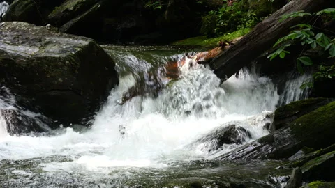 Closeup of fast flowing mountain stream in the Appalachian Mountains Stock Footage 309732069