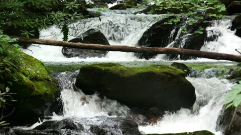 Closeup of fast flowing mountain stream in the Appalachian Mountains Stock Footage 309732115
