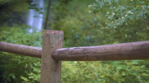 Closeup on a Fence at Silver Falls Stock Footage 91225596