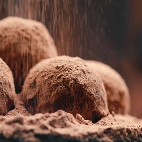 Closeup of Fine Cocoa Powder Falling onto Gourmet Chocolate Truffle Balls Stock Footage 322523753