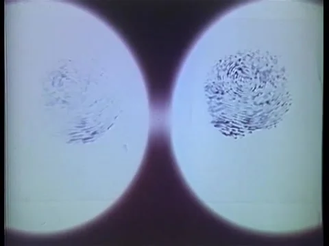 Closeup of fingerprints under microscope, 1970s Stock Footage 58858866