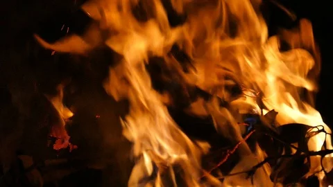 Closeup of fire burning on black background in slow motion Video stock 86979029