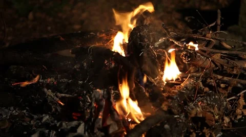 Closeup of fire burning branches and leaves. Video stock 58410572