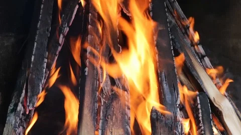 Closeup on fire flames of firewood Stock Footage 87479229