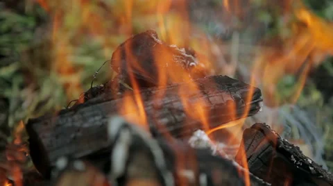 Closeup of fire Stock Footage 50491123