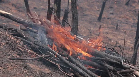 Closeup of Fire in Laos Видео 63479488