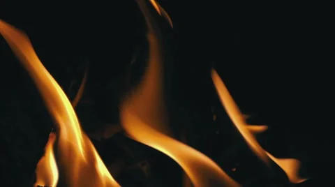 Closeup of Flames Burning on Black Background Stock Footage 59320830
