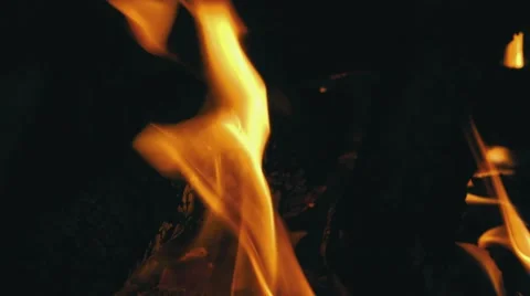 Closeup of Flames Burning on Black Background Stock Footage 59389599