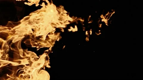 Closeup of flames burning on black background. Vidéo 113263653