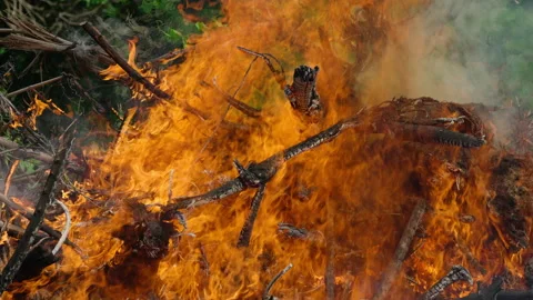 Closeup of flames burning on black background, Slow motion Stock Footage 339750803