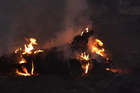 Closeup of flames burning a fallen tree stump in a forest fire. Stock Photos