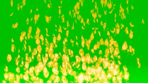 Closeup of flames burning slow motion effect green screen background Stock Footage 259604265