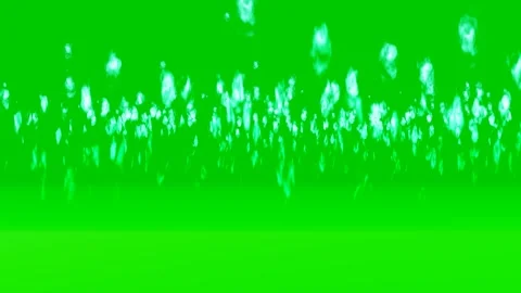 Closeup of flames burning slow motion effect green screen background Stock Footage 259604390