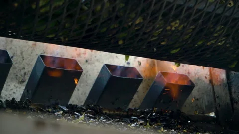 Closeup of Flames Roasting Green Chile Vidéo 139786738