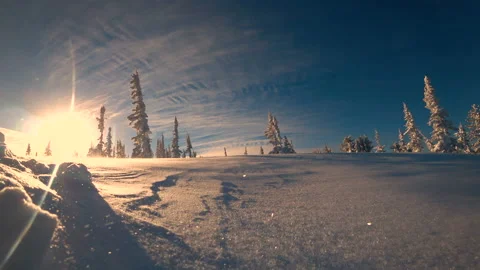 Closeup of flies sparkling snow. drifting snow. orange sun Video stock 99456320