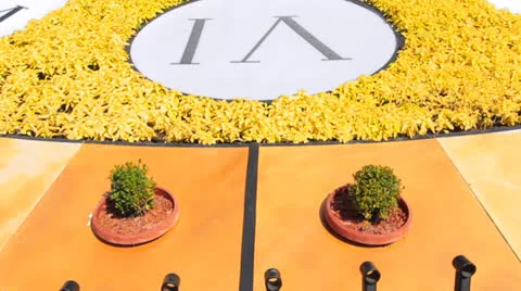 Closeup Flower Clock Panorama Stock Footage 26738964