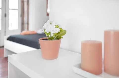 Closeup of a flower pot Foto stock