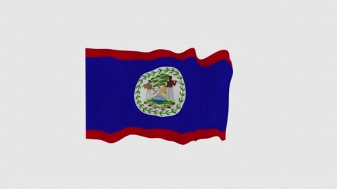 Closeup Flowing Belize National Flag Loop Alpha Channel Video stock 342552972