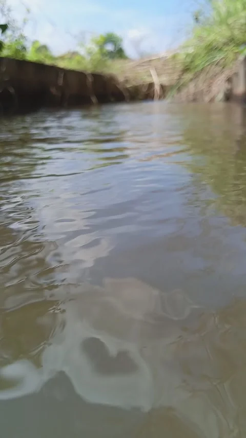 Closeup of flowing river water texture Stock Footage 320487217