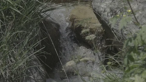 Closeup on flowing stream in slow motion Video stock 79483400