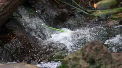 Closeup of Flowing Water Stock Footage 219345360
