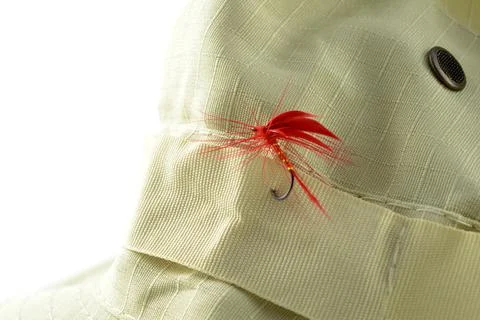 Closeup Fly Hat Stock Photos