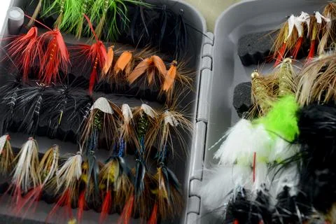Closeup Fly Tackle Stock Photos