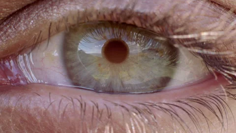 Closeup, focus and vision with green eye of woman for awareness, contact lenses Stock Footage 331192005