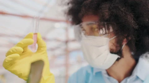 Closeup. Focused Dark-skinned Biologist Inject Abiotic Liquid in Plant. Science Stock Footage 148667651